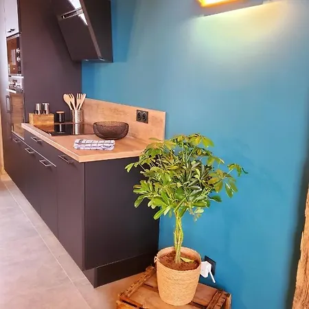 شاليه Le Perrus كسونبورت-لونجمير